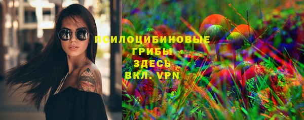 jwh Богородск