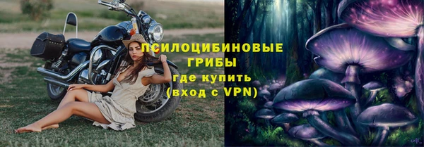 скорость Богданович